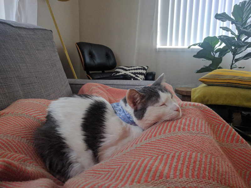 Lap, with blanket. Verdict: 9/10
